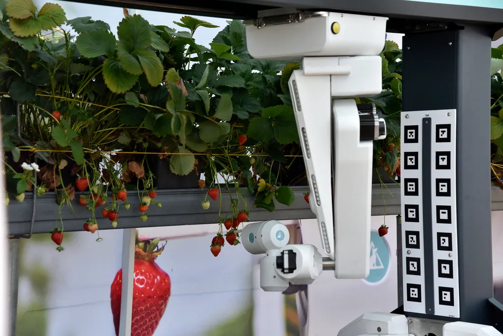 Working demonstrations